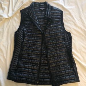 NWOT Patagonia limited edition on shine Nano Puff Vest